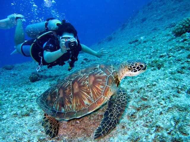 Sharm El Sheikh - Kızıldeniz Rotası (THY ile 4 Gece)