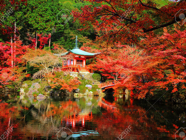 Koyo Zamanı Elegant Japonya & Güney Kore Turu Qatar Hava Yolları İle 9 Gece (Ekstra Turlar Dahil) 
