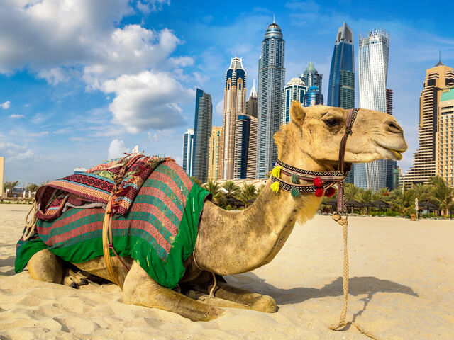 Vize Dahil Görkemli Dubai & Lüksün Başkenti Turu Fly Dubai Hava Yolları İle 4 Gece (SAW-DXB)
