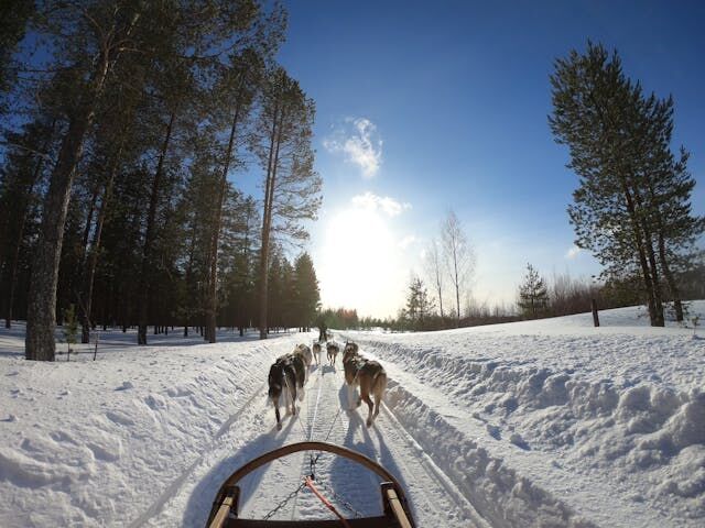 Süper Promo Lapland Turu Beyaz Rotalar (4 Gece)
